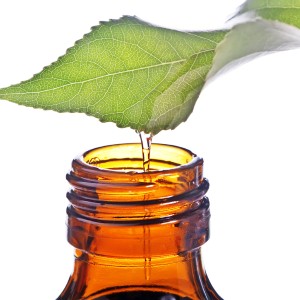 Oil Of Oregano Uses And Applications