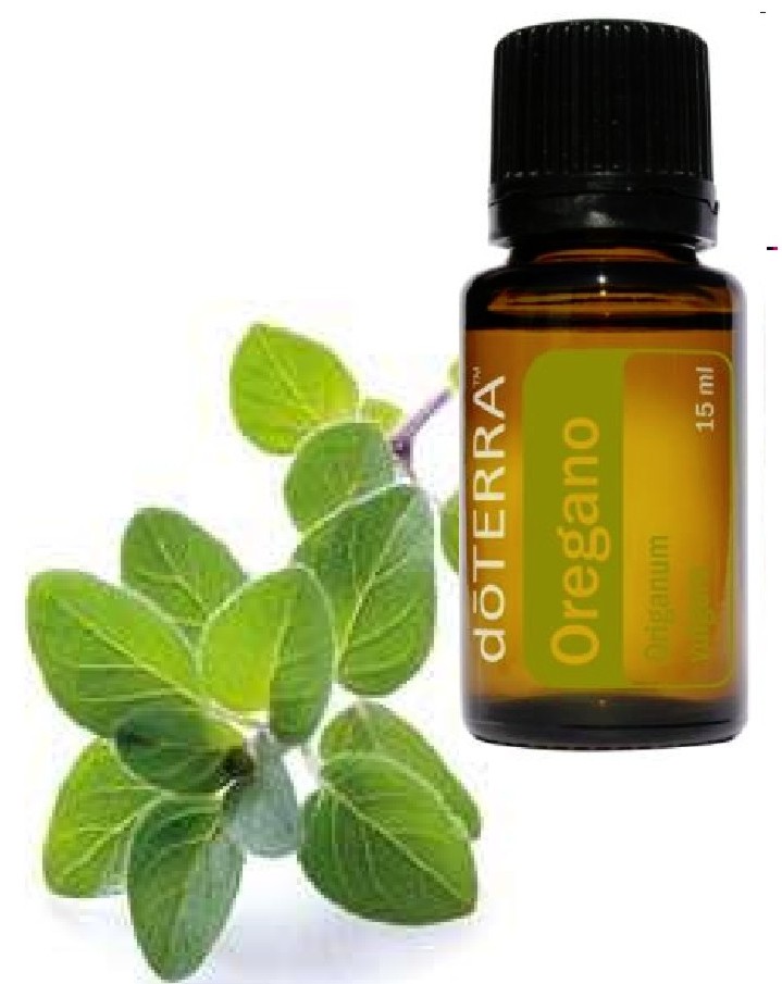 doTERRA Oil Of Oregano Uses And Applications - Pamela Ann Ezell